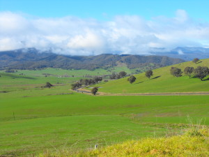 The Murray Valley